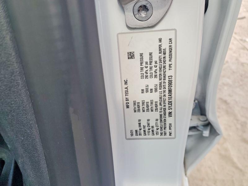 Aukcja sprzedaży 2021 Tesla Model 3, vin: 5YJ3E1EA9MF090813, numer aukcji: 59910966