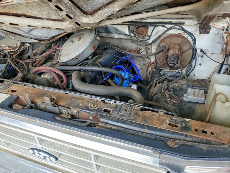 Продаж на аукціоні авто 1982 Ford F150, vin: 1FTEF15E2CNA38383, номер лоту: 60052126