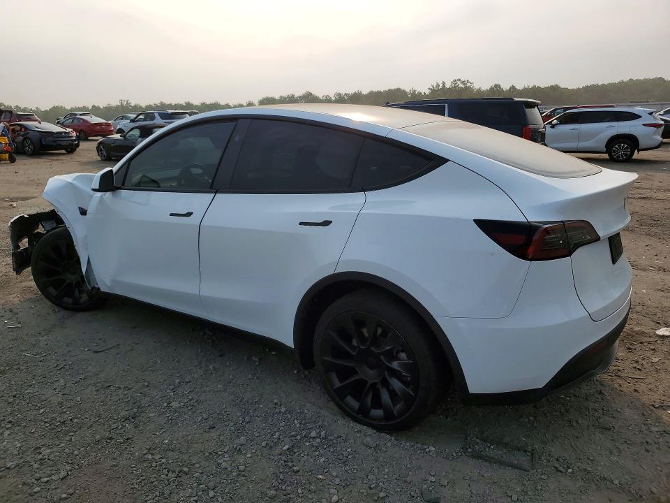 Продажа на аукционе авто 2024 Tesla Model Y, vin: 7SAYGDEE1RA280567, номер лота: 61477646