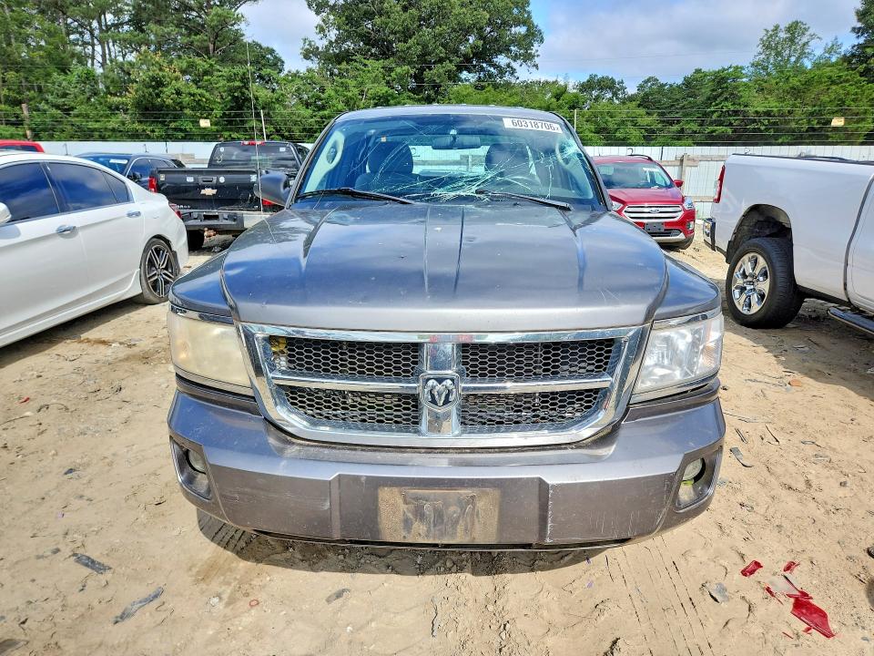 2009 Dodge Dakota მანქანა იყიდება აუქციონზე, vin: 1D7HE22K89S774177, აუქციონის ნომერი: 60318706