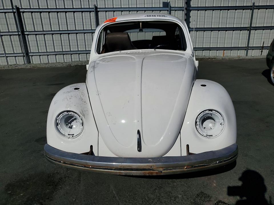 60461036 :رقم المزاد ، 119584673 vin ، 1969 Volkswagen Beetle مزاد بيع