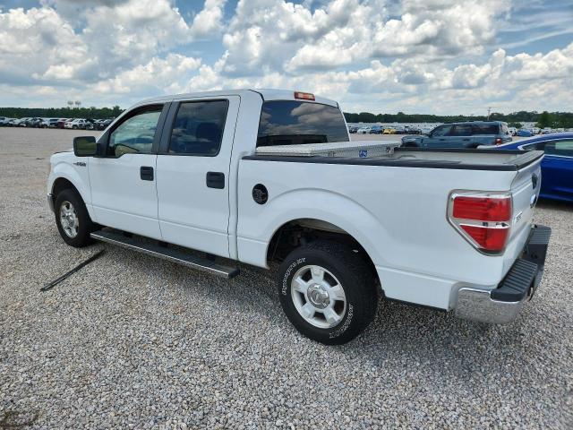 Продаж на аукціоні авто 2010 Ford F150, vin: 1FTFW1CV9AFB24515, номер лоту: 60040796