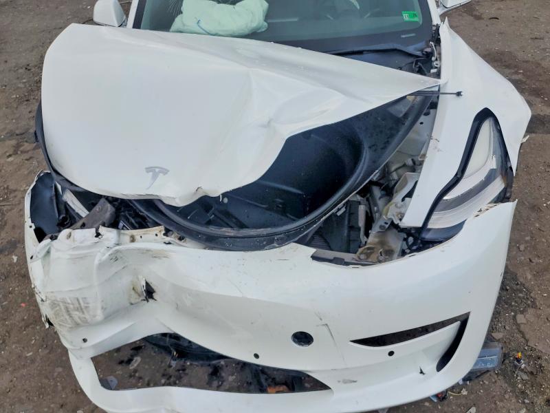 61981656 :رقم المزاد ، 5YJ3E1EA4LF612200 vin ، 2020 Tesla Model 3 مزاد بيع