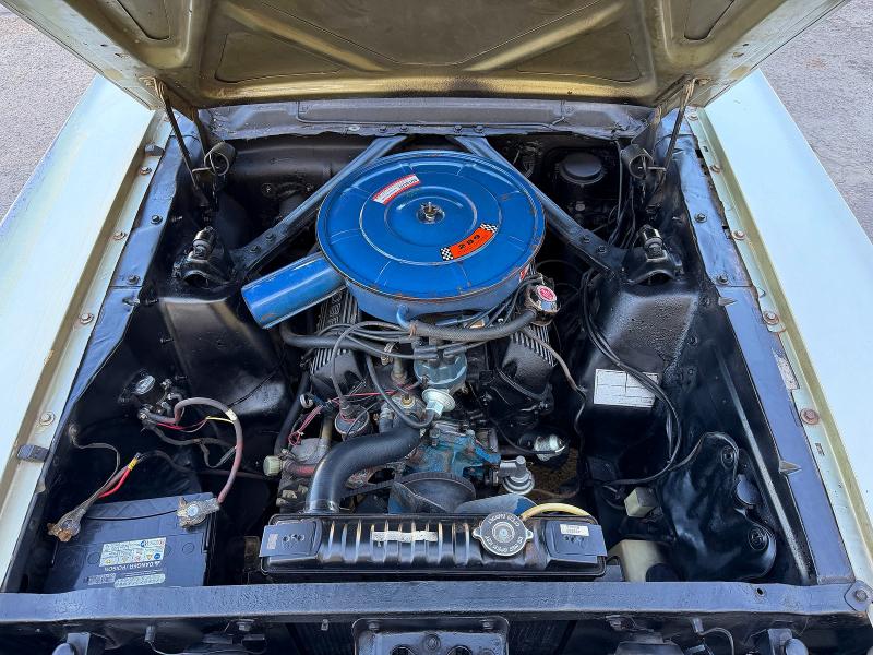 Продажа на аукционе авто 1966 Ford Mustang, vin: 6F07C303951, номер лота: 63537336
