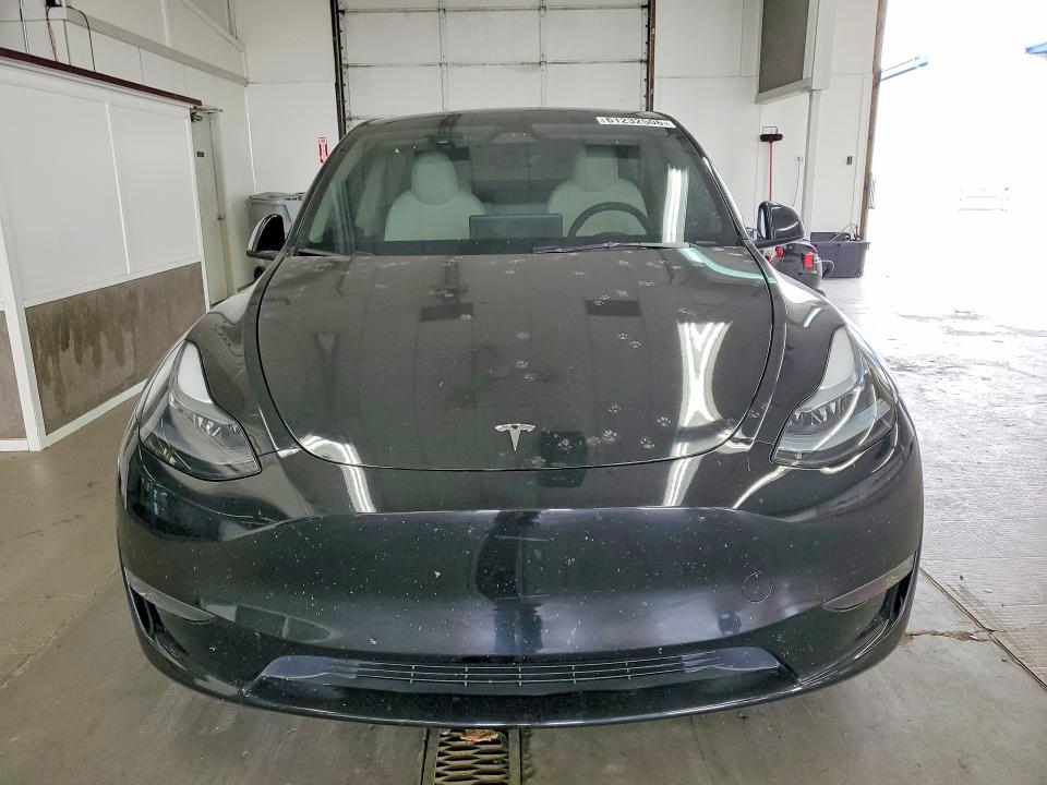 Aukcja sprzedaży 2024 Tesla Model Y, vin: 7SAYGDEF7RF087397, numer aukcji: 61232506
