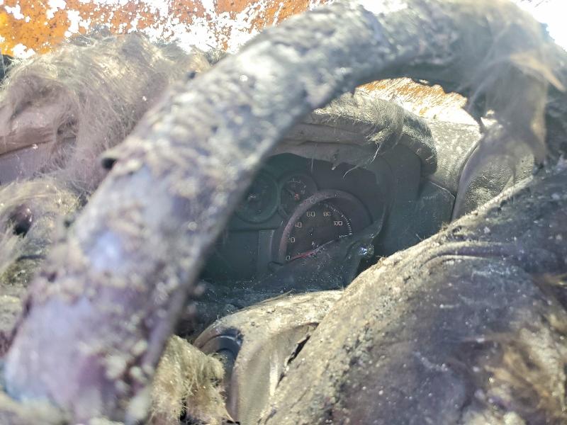 60076646 :رقم المزاد ، 3GCPABEK4RG406101 vin ، 2024 Chevrolet Silverado مزاد بيع
