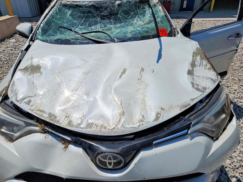 Продажа на аукционе авто 2016 Toyota Rav4, vin: 2T3DFREV6GW448872, номер лота: 60167186
