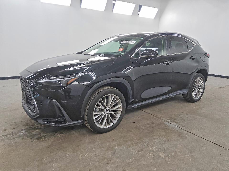 2024 Lexus Nx მანქანა იყიდება აუქციონზე, vin: 2T2HGCEZ4RC048672, აუქციონის ნომერი: 59300536