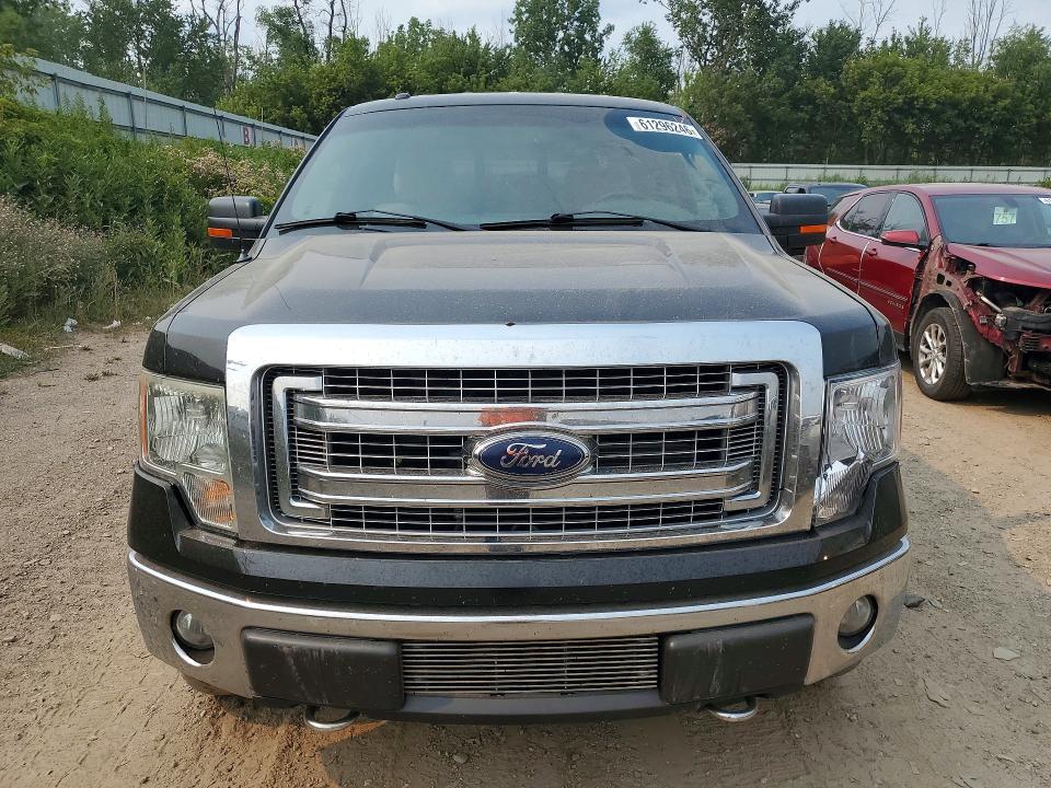 61296246 :رقم المزاد ، 1FTFW1EF6DFB08279 vin ، 2013 Ford F150 مزاد بيع