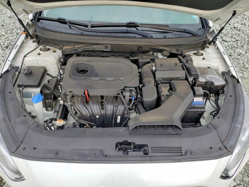 Продаж на аукціоні авто 2019 Hyundai Sonata, vin: 5NPE24AF2KH739709, номер лоту: 62916366