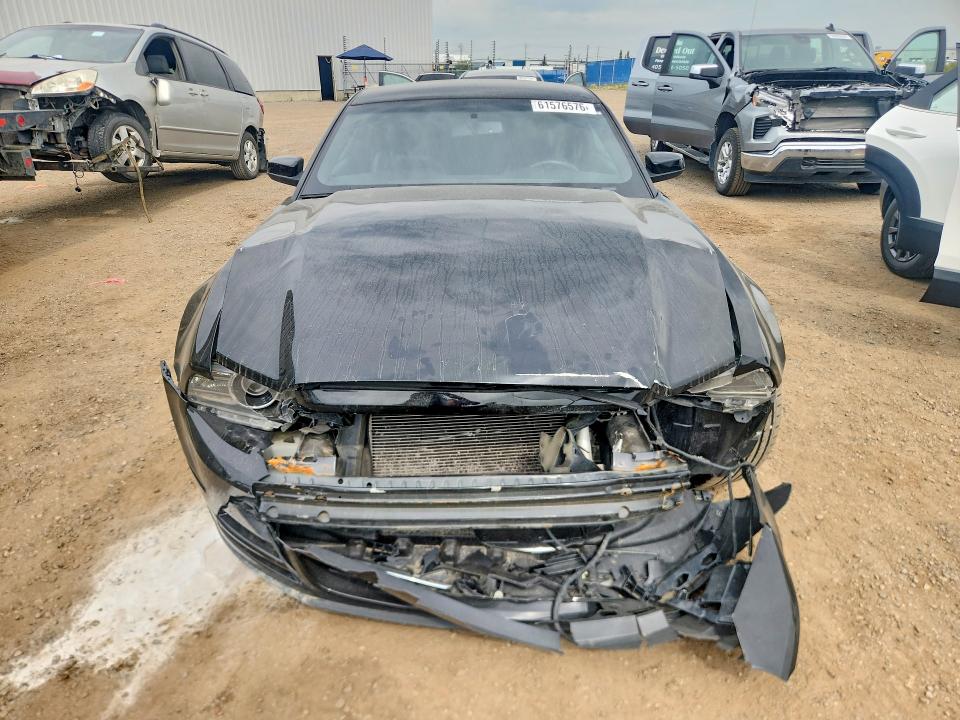 61576576 :رقم المزاد ، 1ZVBP8AM9D5214804 vin ، 2013 Ford Mustang مزاد بيع