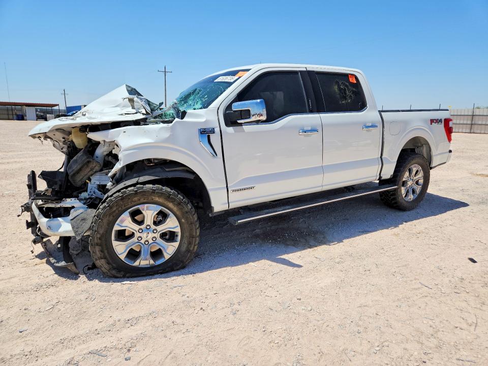 Auction sale of the 2023 Ford F150, vin: 1FTFW1ED4PFA09656, lot number: 61636736