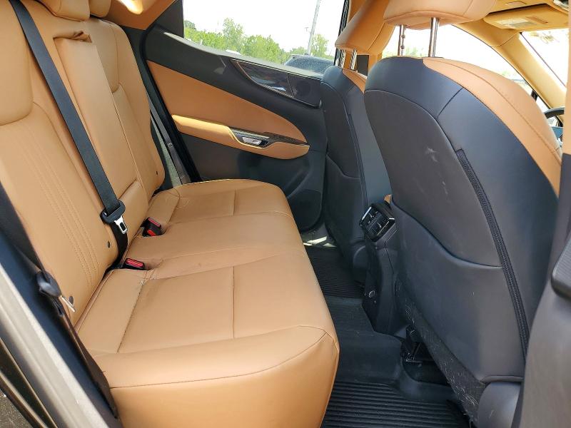 Aukcja sprzedaży 2025 Lexus Nx, vin: 2T2GGCEZ3SC062743, numer aukcji: 62067046