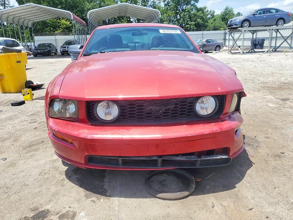 Продаж на аукціоні авто 2005 Ford Mustang, vin: 1ZVHT82H555119066, номер лоту: 60787496