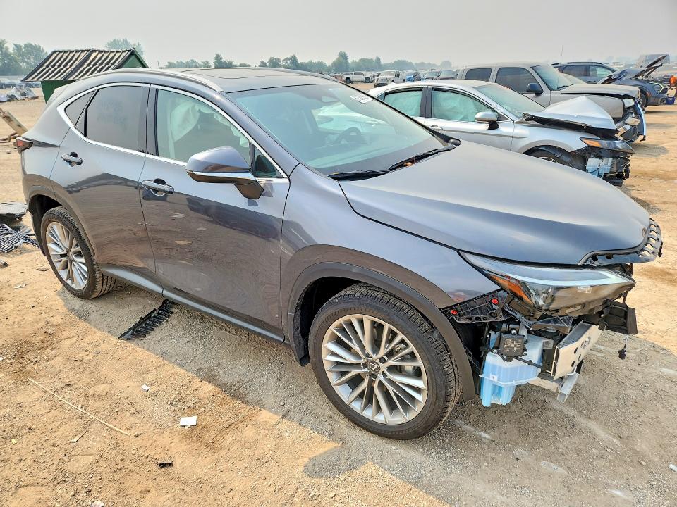 Aukcja sprzedaży 2025 Lexus Nx, vin: 2T2GGCEZ5SC066650, numer aukcji: 61382966
