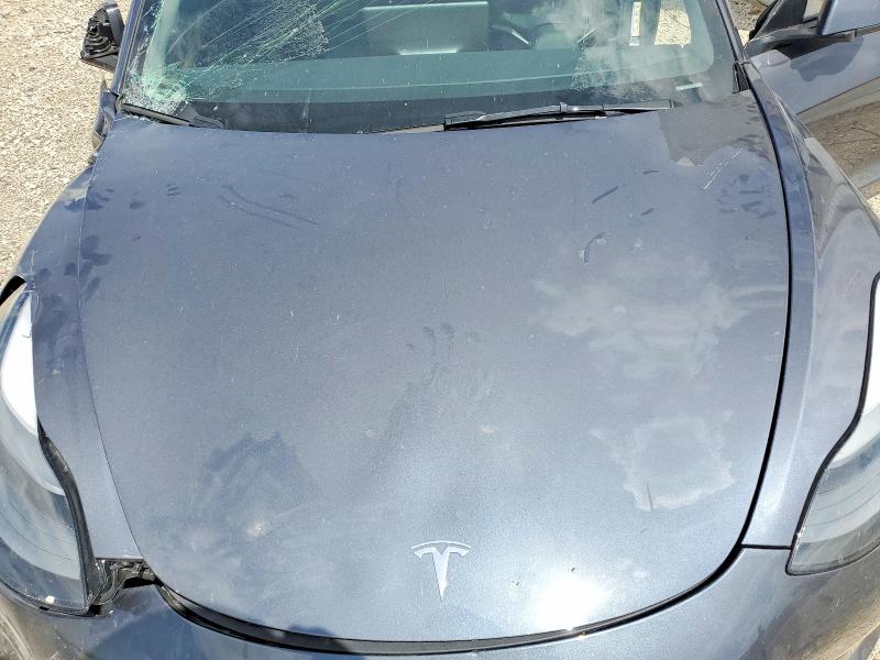 Продаж на аукціоні авто 2023 Tesla Model 3, vin: 5YJ3E1EC8PF604267, номер лоту: 59076626