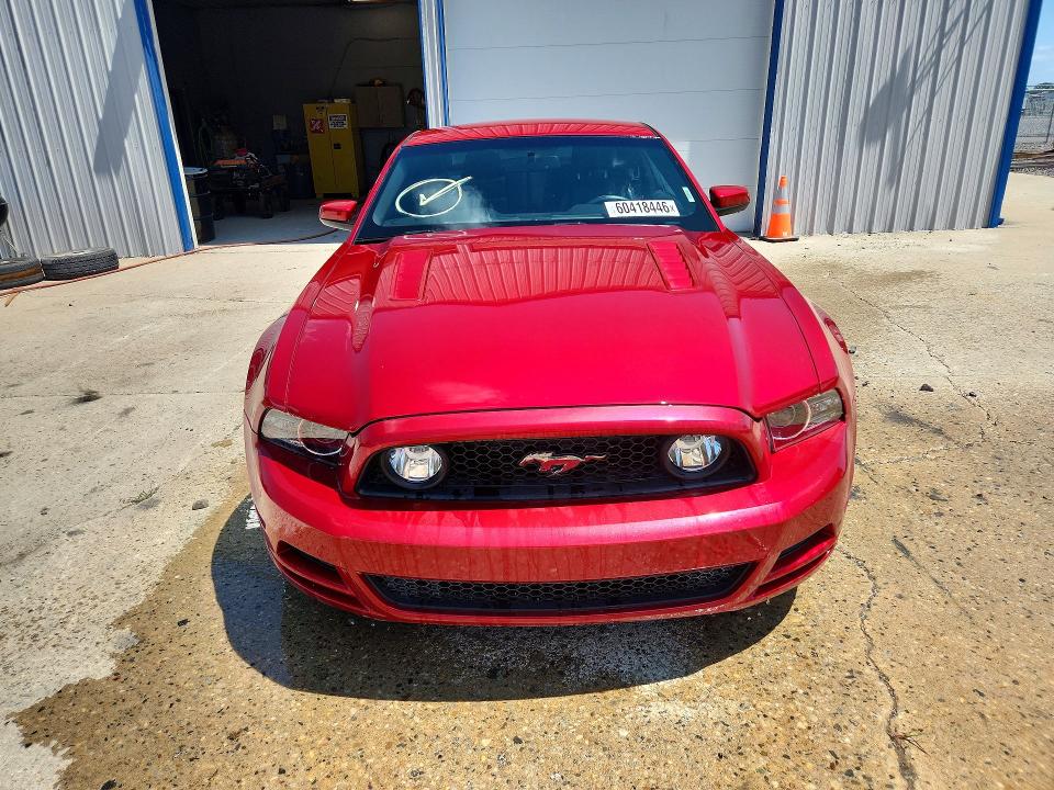 60418446 :رقم المزاد ، 1ZVBP8CF6D5245006 vin ، 2013 Ford Mustang مزاد بيع