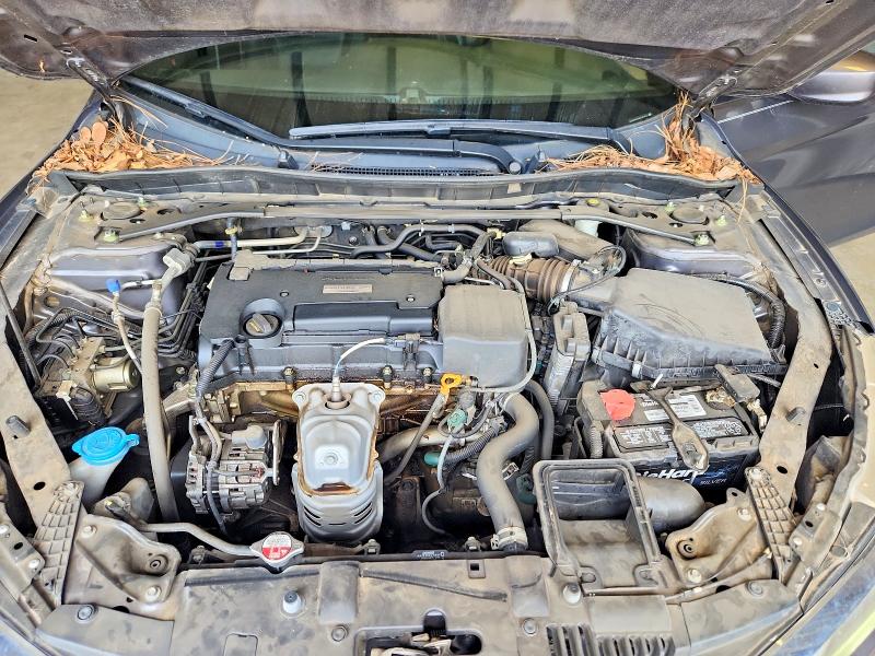 62617726 :رقم المزاد ، 1HGCR2F17HA191034 vin ، 2017 Honda Accord مزاد بيع