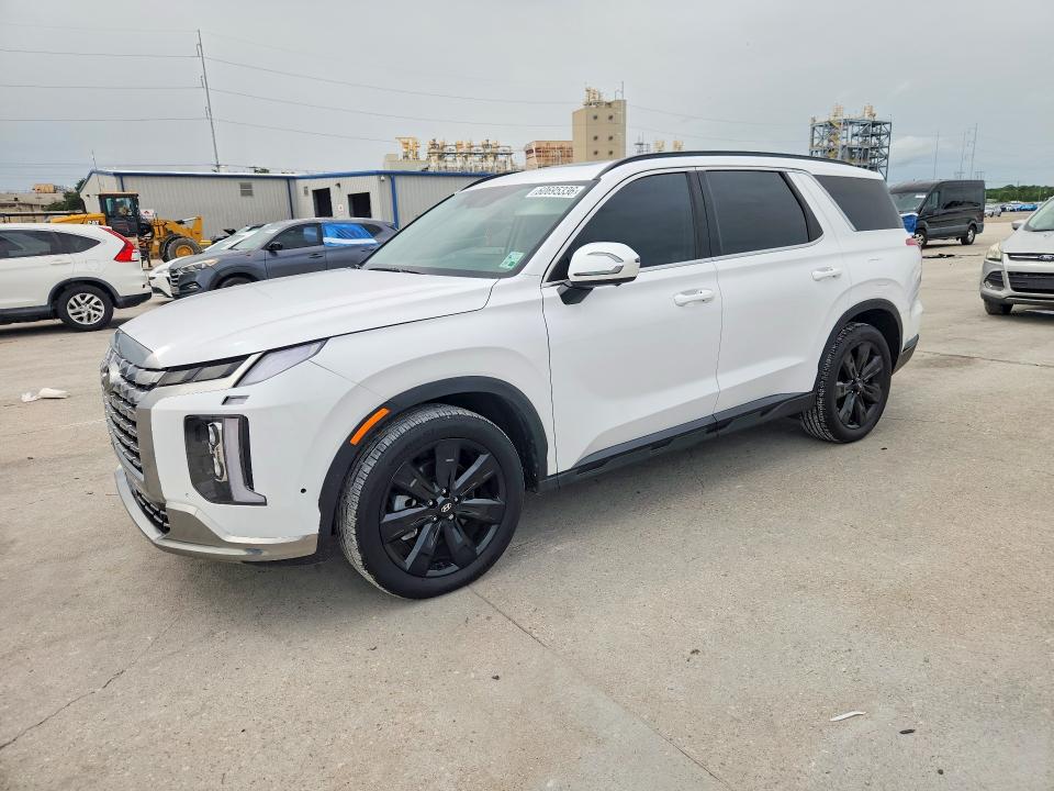 Продажа на аукционе авто 2025 Hyundai Palisade, vin: KM8R3DGE4SU840703, номер лота: 60695336