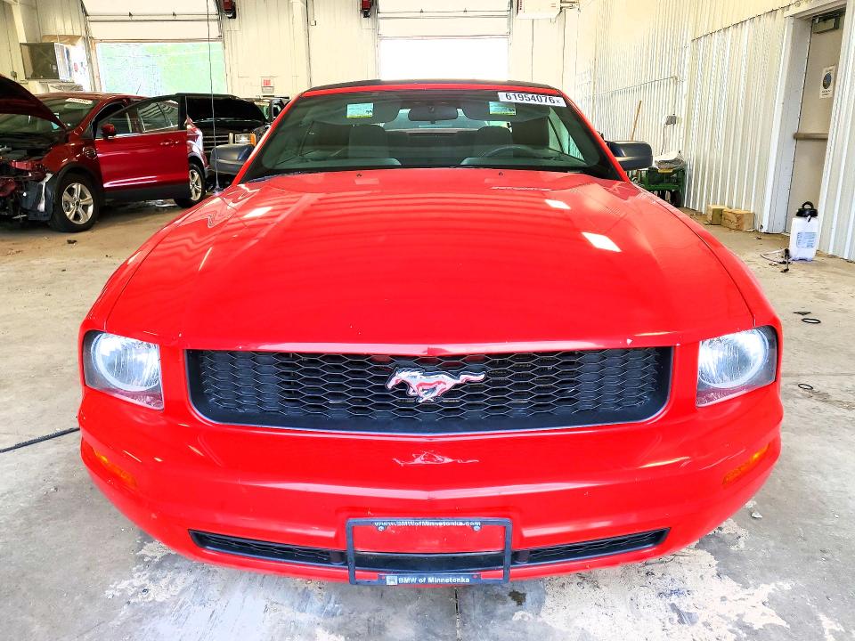 2009 Ford Mustang მანქანა იყიდება აუქციონზე, vin: 1ZVHT84N195108011, აუქციონის ნომერი: 61954076