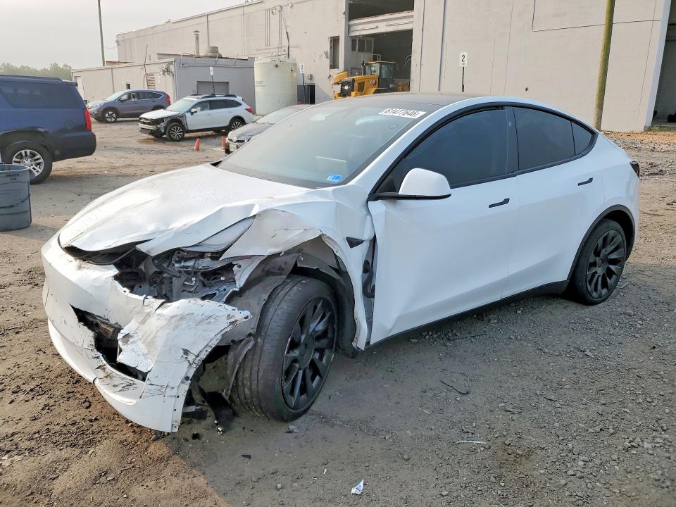 Продаж на аукціоні авто 2024 Tesla Model Y, vin: 7SAYGDEE1RA280567, номер лоту: 61477646