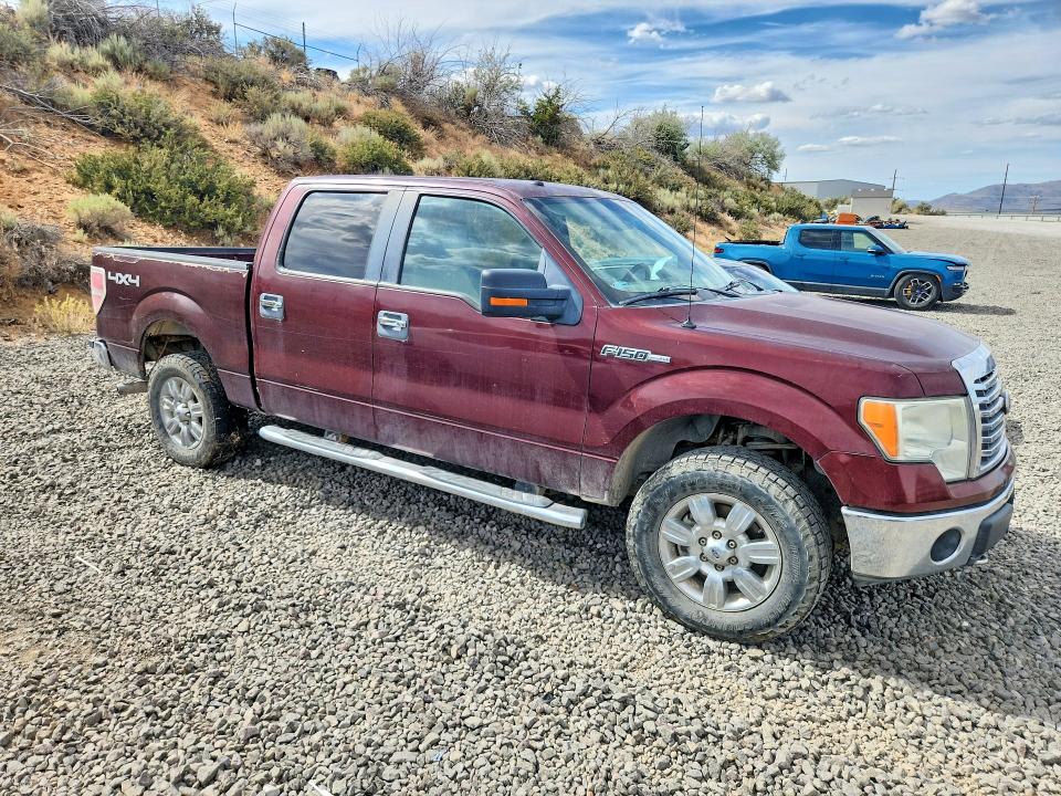 59020976 :رقم المزاد ، 1FTFW1EV5AKC19867 vin ، 2010 Ford F150 مزاد بيع