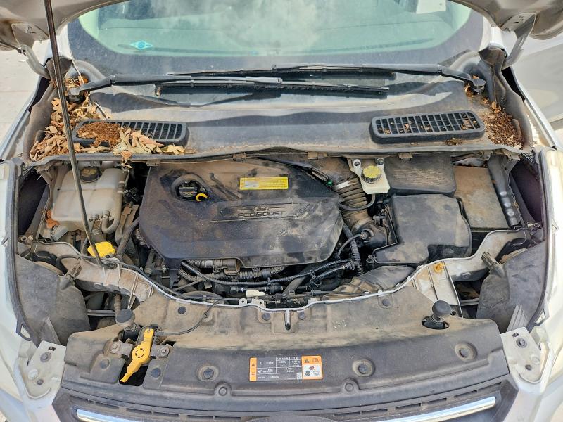 Aukcja sprzedaży 2014 Ford Escape, vin: 1FMCU0GX2EUC83498, numer aukcji: 61148946