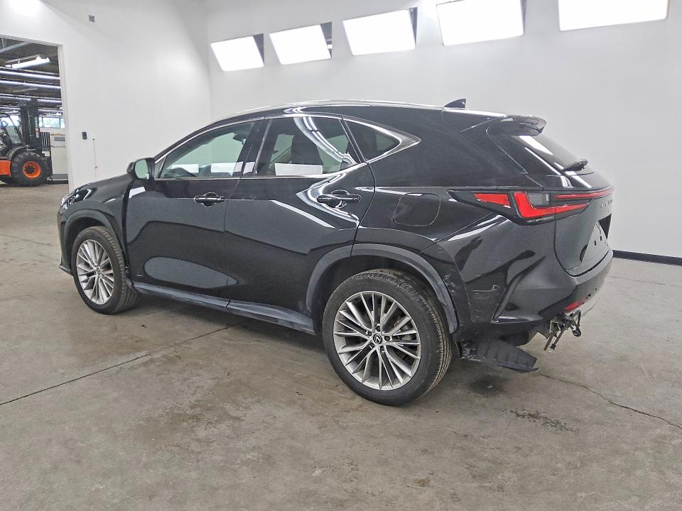 2024 Lexus Nx მანქანა იყიდება აუქციონზე, vin: 2T2HGCEZ4RC048672, აუქციონის ნომერი: 59300536