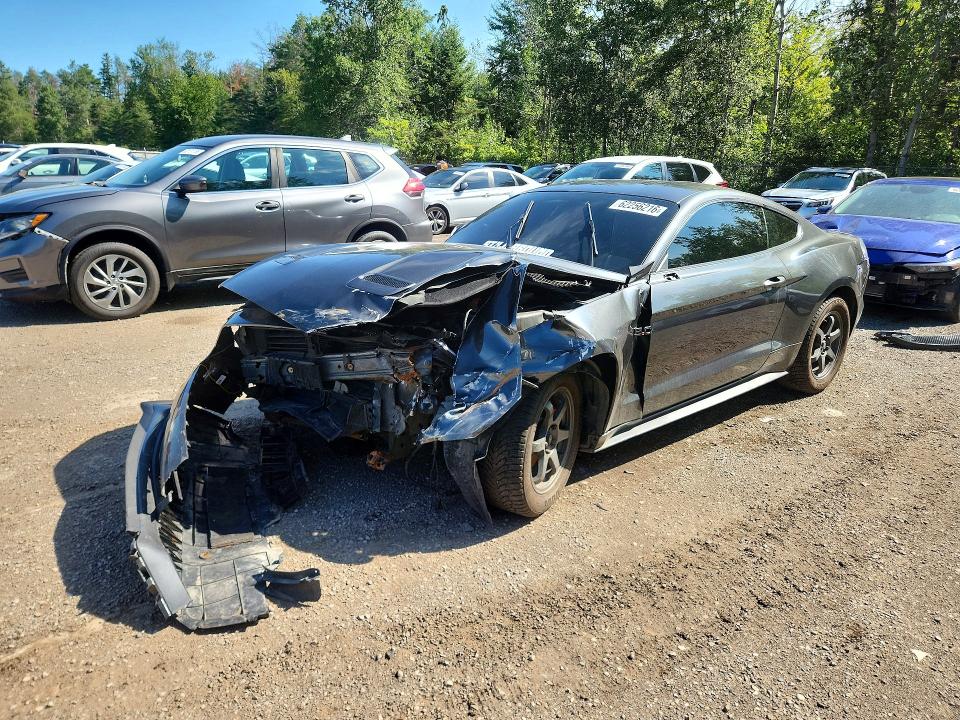 2019 Ford Mustang მანქანა იყიდება აუქციონზე, vin: 1FA6P8TH8K5183925, აუქციონის ნომერი: 62256216