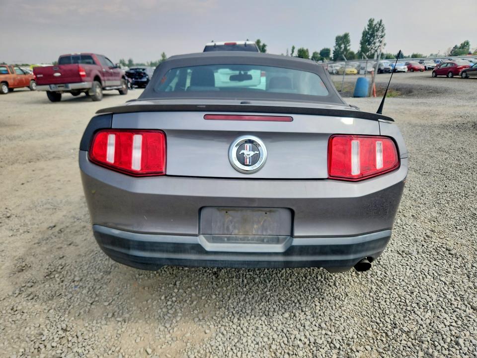 Продаж на аукціоні авто 2010 Ford Mustang, vin: 1ZVBP8EN6A5124640, номер лоту: 61802256