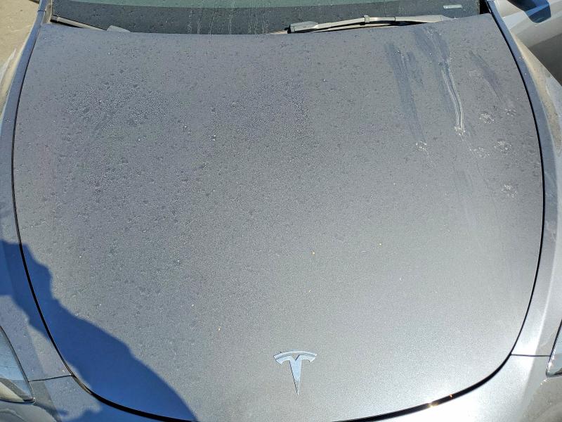Aukcja sprzedaży 2023 Tesla Model Y, vin: 7SAYGDEEXPF836116, numer aukcji: 59692146