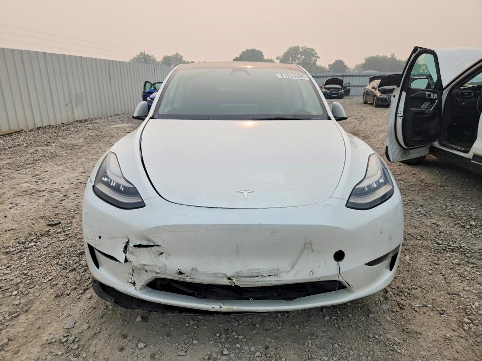 61533866 :رقم المزاد ، 5YJYGDEE8MF210976 vin ، 2021 Tesla Model Y مزاد بيع