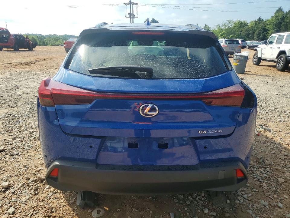 Aukcja sprzedaży 2021 Lexus Ux, vin: JTHP9JBH6M2047331, numer aukcji: 59593916