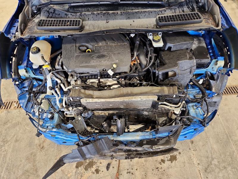 2017 Ford Escape მანქანა იყიდება აუქციონზე, vin: 1FMCU0GD0HUE92586, აუქციონის ნომერი: 62866486