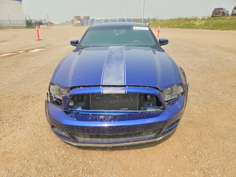 Продаж на аукціоні авто 2014 Ford Mustang, vin: 1ZVBP8AMXE5317635, номер лоту: 62445416