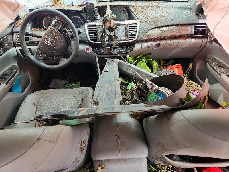 59172916 :رقم المزاد ، 1HGCR2F86GA243703 vin ، 2016 Honda Accord مزاد بيع