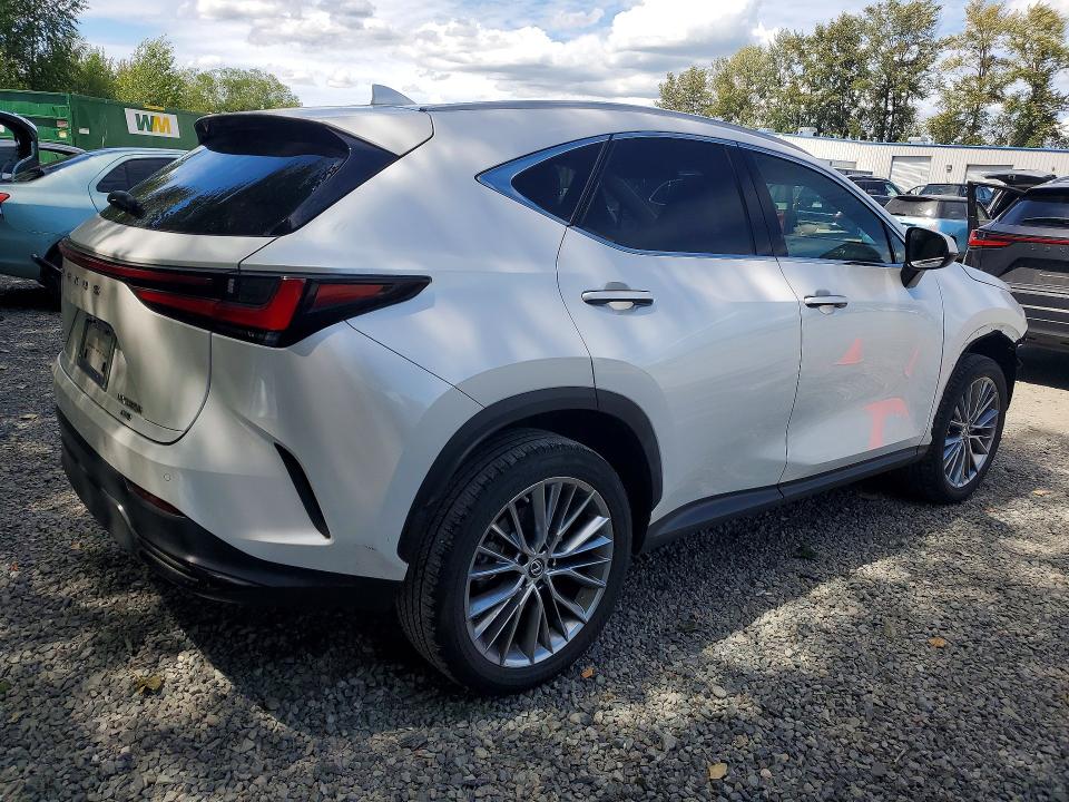 2023 Lexus Nx მანქანა იყიდება აუქციონზე, vin: 2T2GKCEZ9PC010278, აუქციონის ნომერი: 62100456