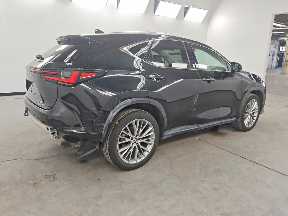 2024 Lexus Nx მანქანა იყიდება აუქციონზე, vin: 2T2HGCEZ4RC048672, აუქციონის ნომერი: 59300536