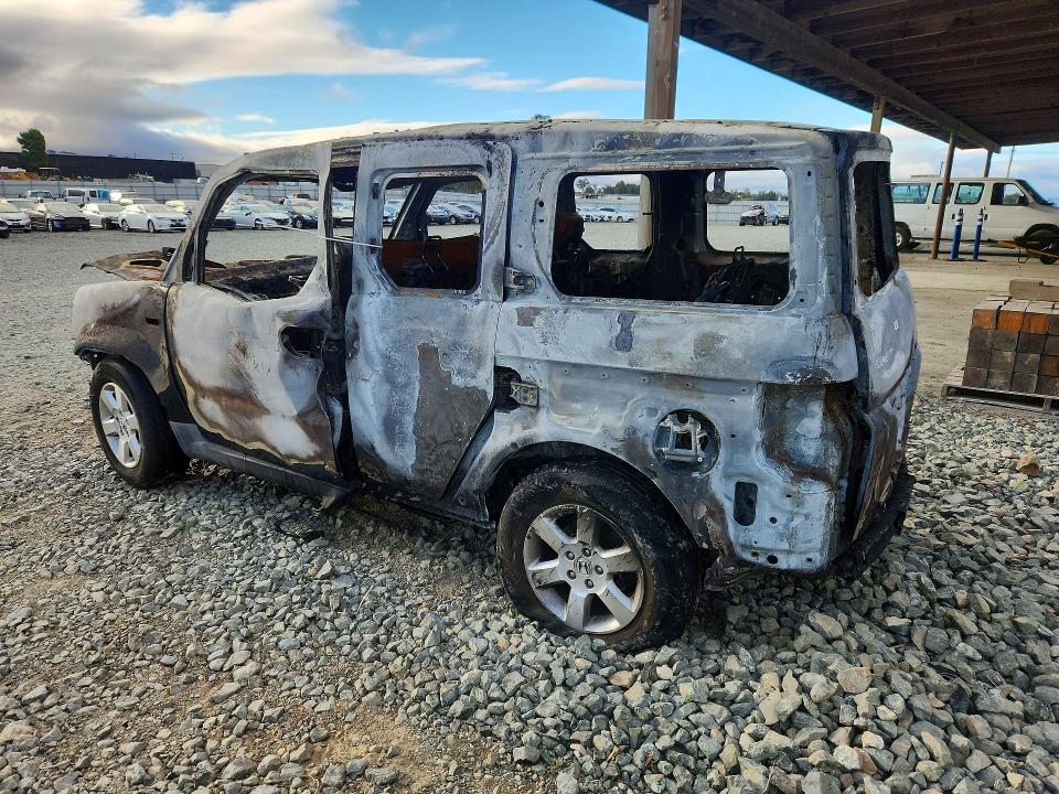 61965266 :رقم المزاد ، 5J6YH1H74BL004096 vin ، 2011 Honda Element مزاد بيع