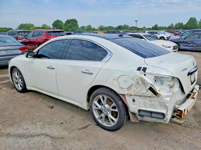 59897186 :رقم المزاد ، 1N4AA5AP6EC497254 vin ، 2014 Nissan Maxima مزاد بيع