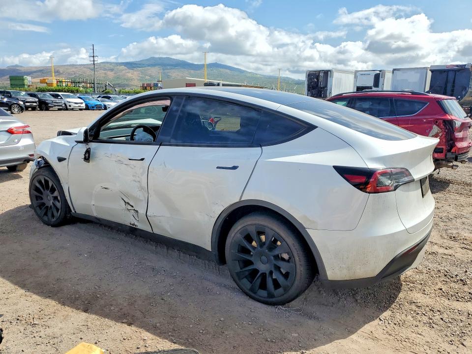 Продажа на аукционе авто 2024 Tesla Model Y, vin: 7SAYGDED0RF102563, номер лота: 61808396