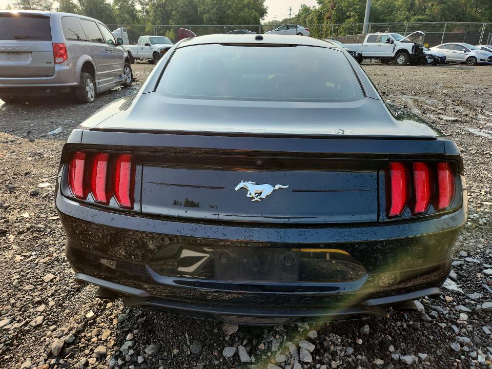62667276 :رقم المزاد ، 1FA6P8TH2K5138043 vin ، 2019 Ford Mustang مزاد بيع