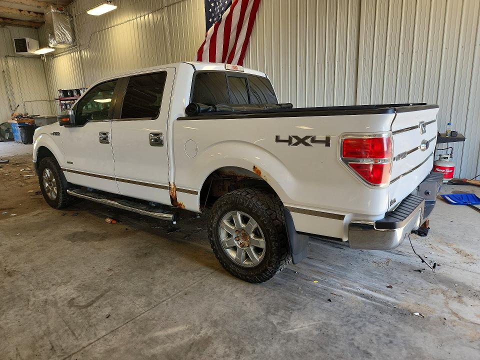 Продаж на аукціоні авто 2014 Ford F150, vin: 1FTFW1ET7EFB69308, номер лоту: 61961266