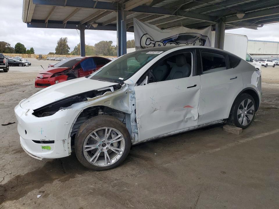 Продажа на аукционе авто 2023 Tesla Model  Y, vin: 7SAYGDEEXPF742575, номер лота: 59105136