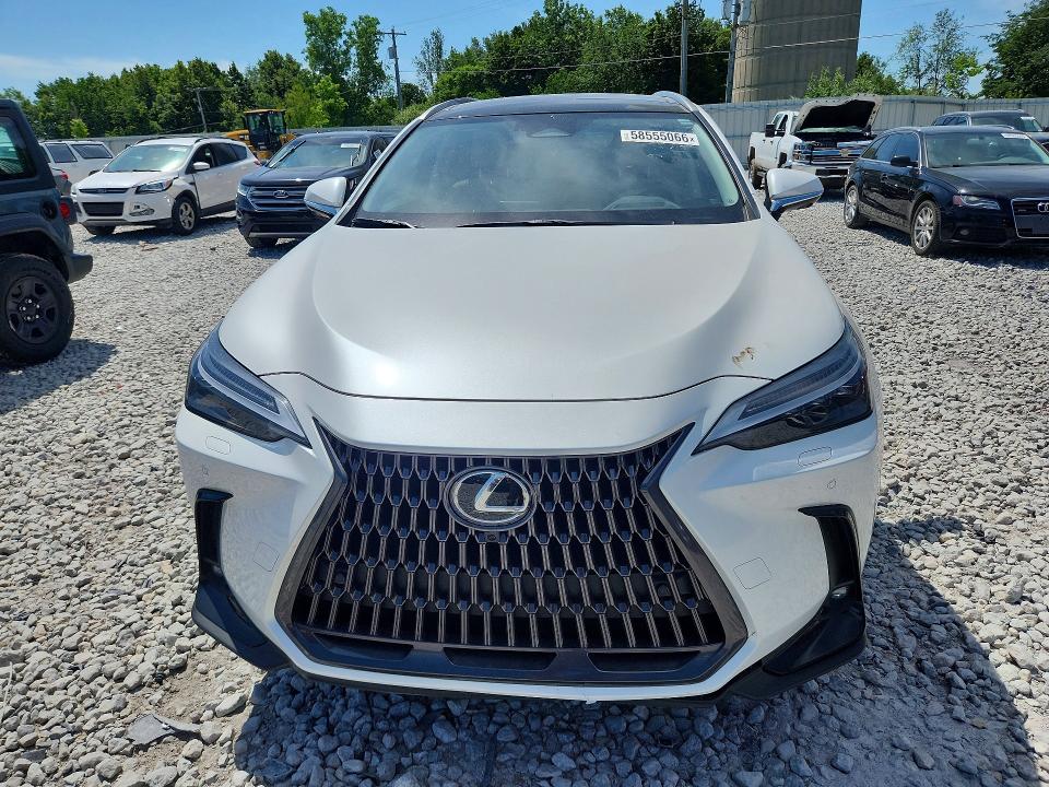 Продаж на аукціоні авто 2025 Lexus Nx 350h, vin: JTJHKCEZ4S2055433, номер лоту: 58555066