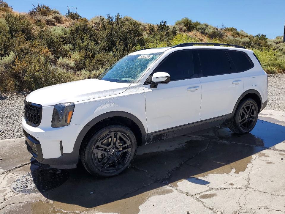 Продаж на аукціоні авто 2024 Kia Telluride, vin: 5XYP5DGCXRG550434, номер лоту: 62867366