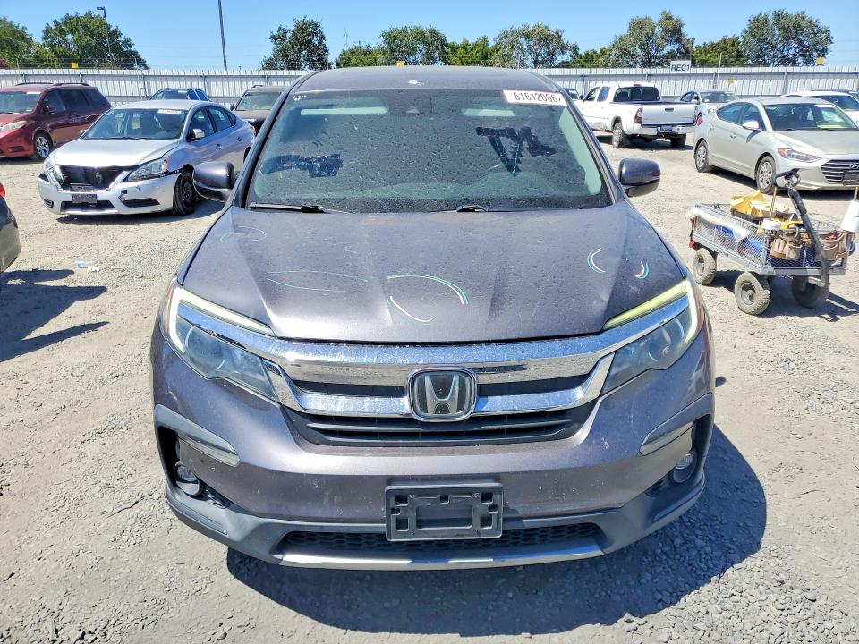 61612006 :رقم المزاد ، 5FNYF5H55KB011305 vin ، 2019 Honda Pilot مزاد بيع