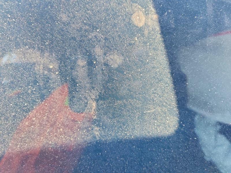 Aukcja sprzedaży 2023 Tesla Model Y, vin: 7SAYGDEE7PA188005, numer aukcji: 61778886