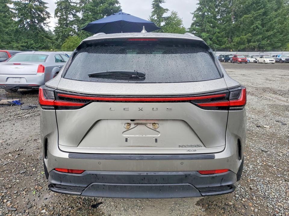 2024 Lexus Nx 350h მანქანა იყიდება აუქციონზე, vin: 2T2GKCEZ9RC029741, აუქციონის ნომერი: 61365316