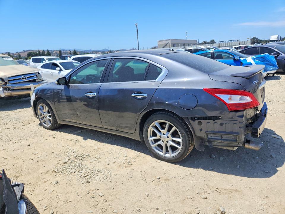 59683516 :رقم المزاد ، 1N4AA51E39C833222 vin ، 2009 Nissan Maxima مزاد بيع